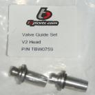 Valve Guide Replacement  Set for V2 Race Head [TBW0759]